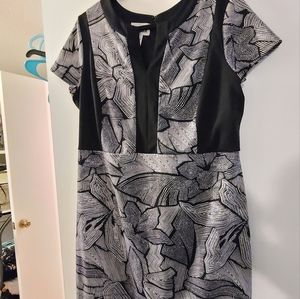 Black Buisness Dress Size 1X